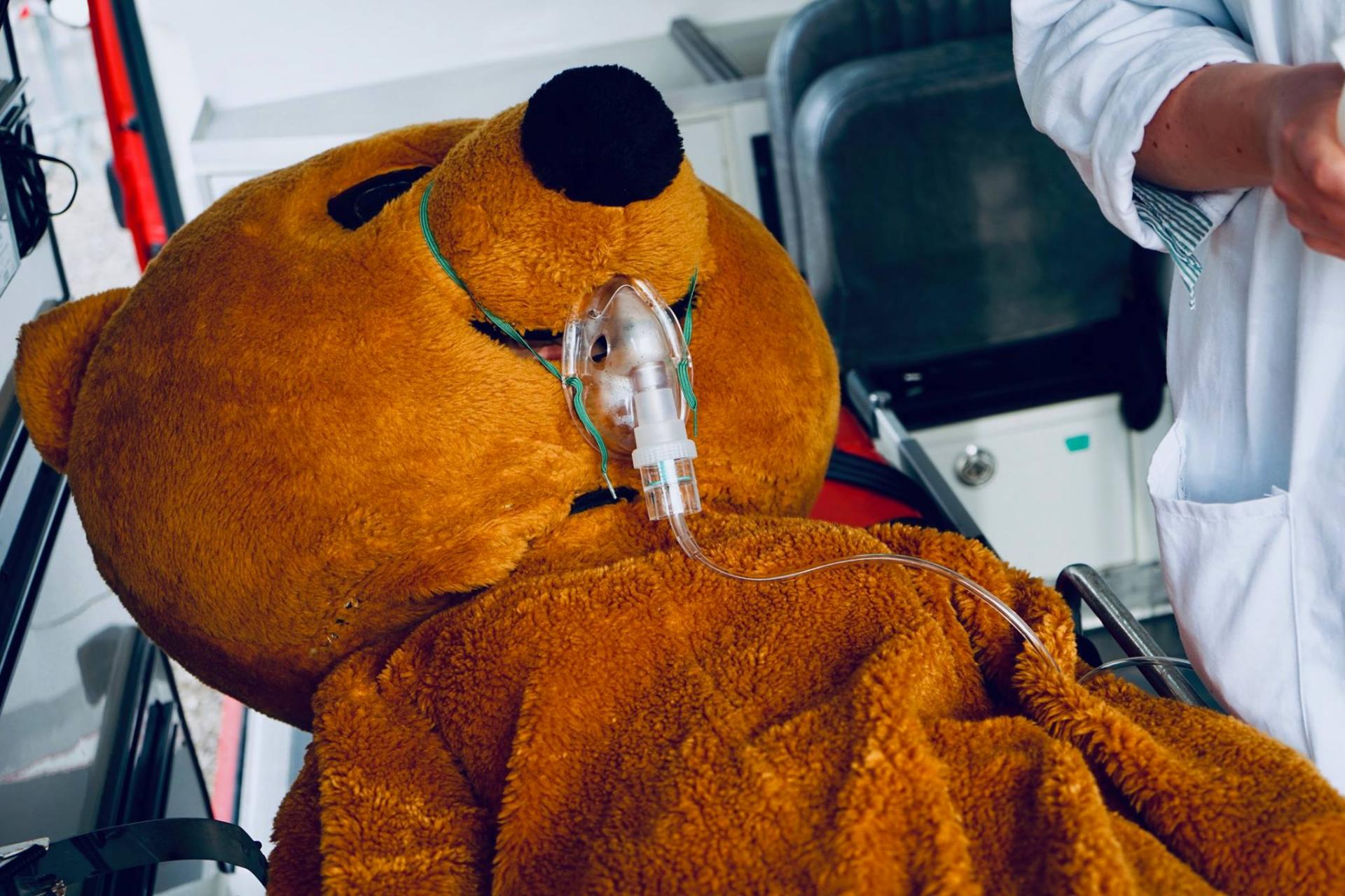 Photo hôpital des nounours 2019 