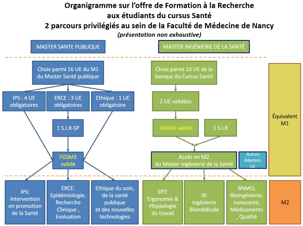 Erce M decine Lorraine Organisation G n rale NJHW Erce M decine Lorraine Organisation G n rale NJHW